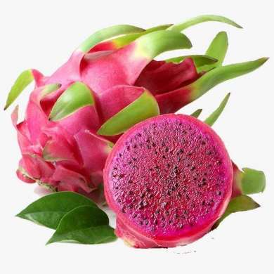 Organic Prozen Pitaya with Best Quality, SALE for NOW !!!